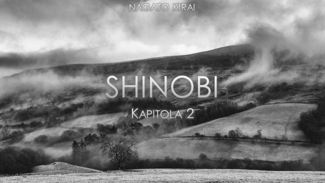 Shinobi 2.jpg